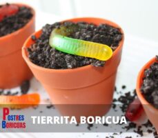 Receta POSTRE TIERRITA Boricua